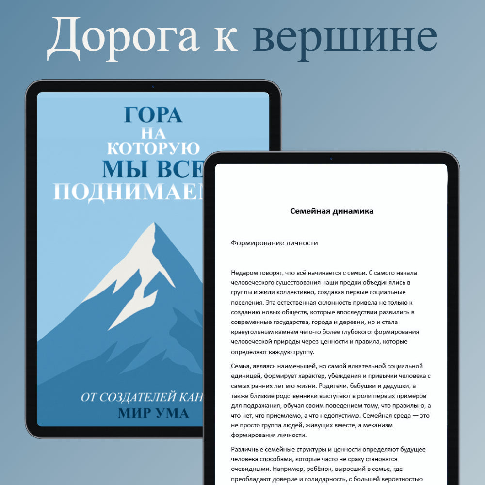 Обложка электронной книги Гора, на которую мы все поднимаемся — психологическая и философская книга о саморазвитии, душевной устойчивости и внутренней силе.
